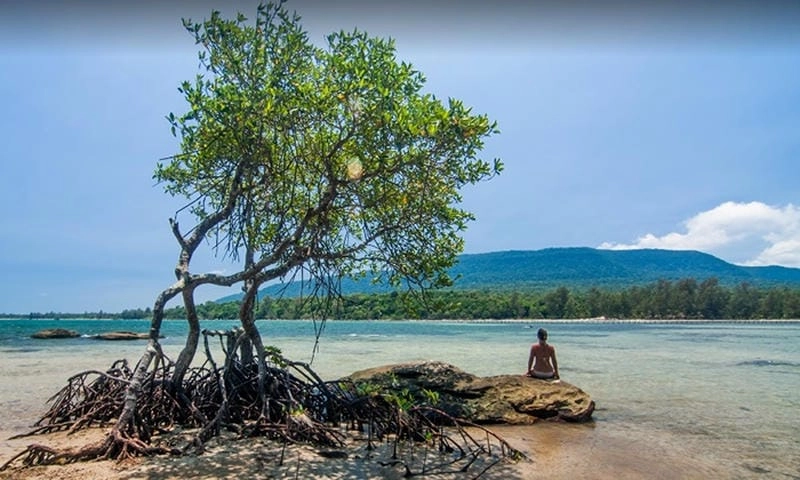 Vẻ đẹp Bãi Thơm cảnh hoang sơ cuốn hút mọi người