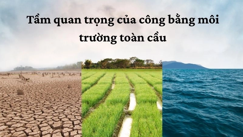 Tầm quan trọng của công bằng môi trường toàn cầu