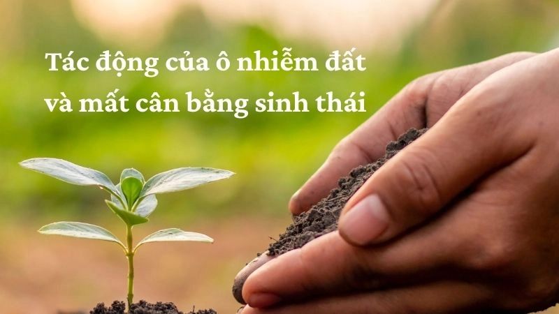 Tác động của ô nhiễm đất và mất cân bằng sinh thái