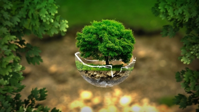  Hệ sinh thái học biển đóng vai trò quan trọng trong chu trình carbon