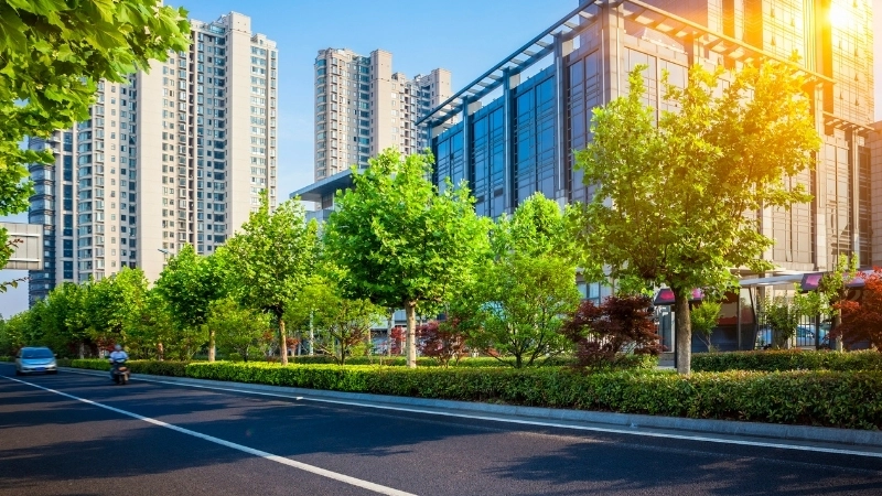  Một thành phố xanh là nền tảng cho tương lai bền vững