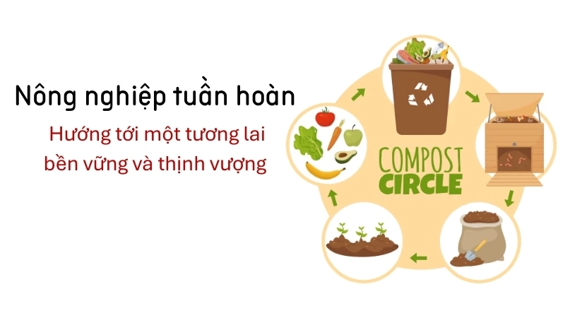 Nông nghiệp tuần hoàn hướng tới một tương lai bền vững và thịnh vượng
