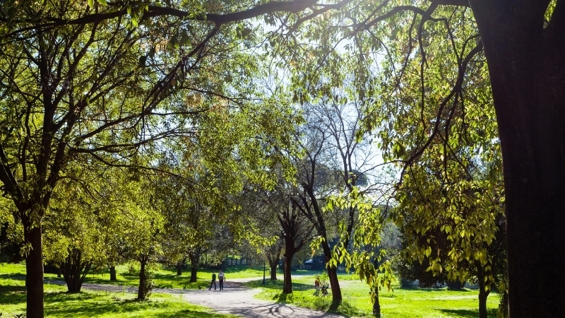  Phát triển không gian xanh đô thị vì một tương lai bền vững