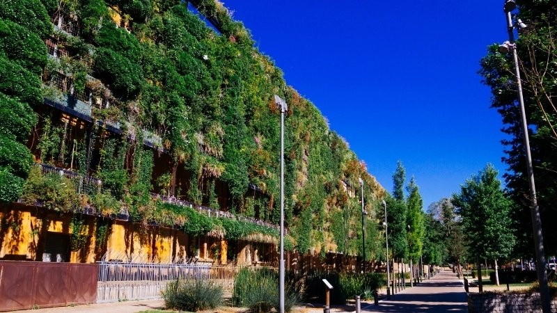  Sinh thái học đô thị hướng tới một tương lai bền vững