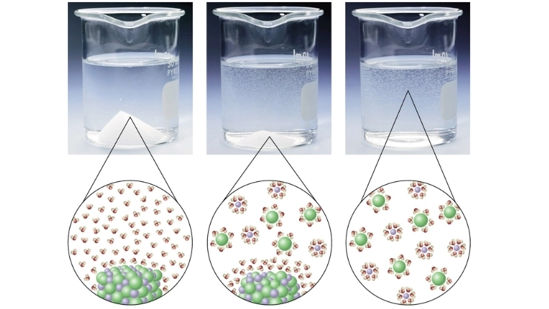  Tính chất nước phân cực giúp phân tử đường hòa tan dễ dàng