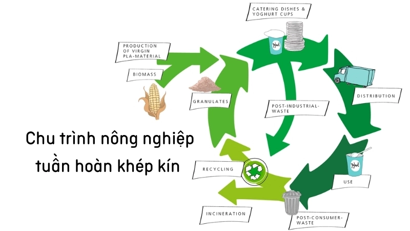 Ứng dụng công nghệ xanh trong chu trình nông nghiệp tuần hoàn khép kín