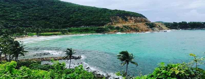 Đón bình minh Bãi Cây Mến