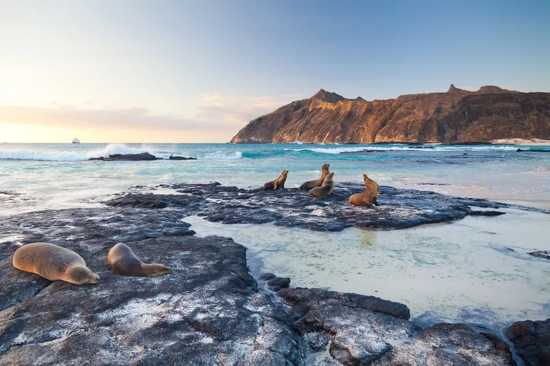 Khám phá vị trí địa lý của quần đảo galapagos thuộc quốc gia nào