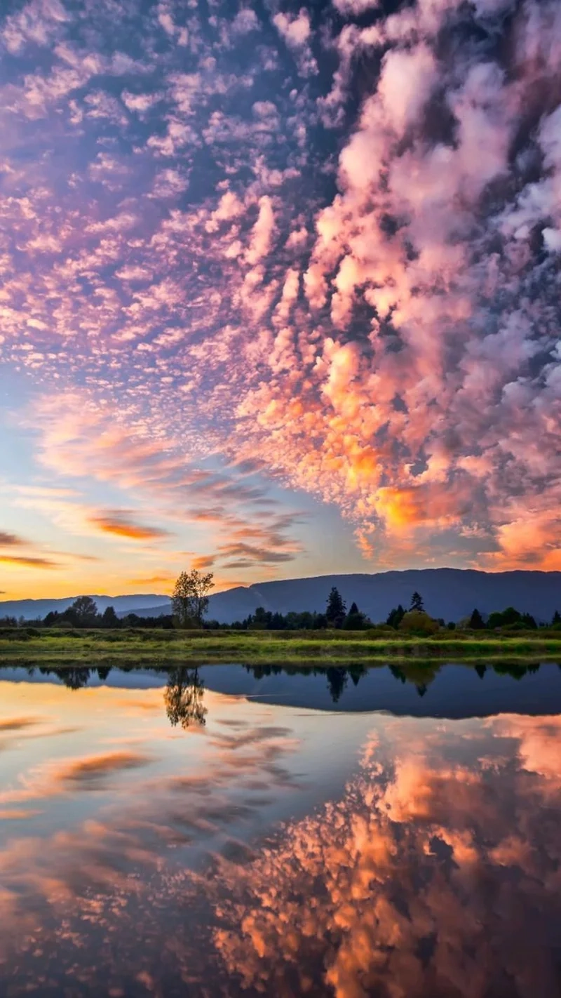 Khám phá vẻ đẹp mát lành cùng hình nền thiên nhiên đẹp cho điện thoại