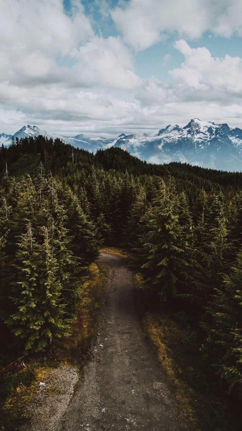 Biến điện thoại sống động với hình nền thiên nhiên điện thoại