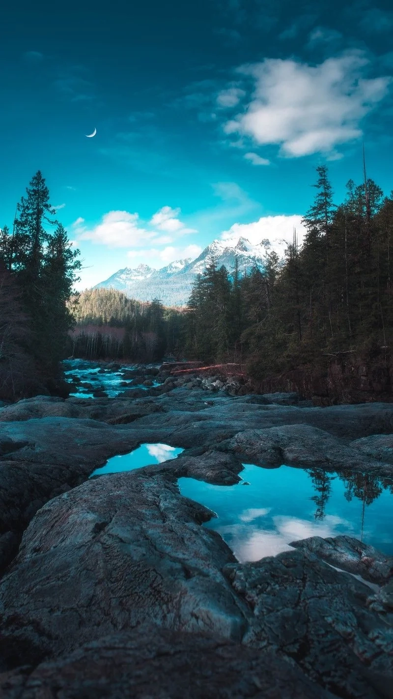 Tạo hiệu ứng sống động với hình nền 3d thiên nhiên cho điện thoại