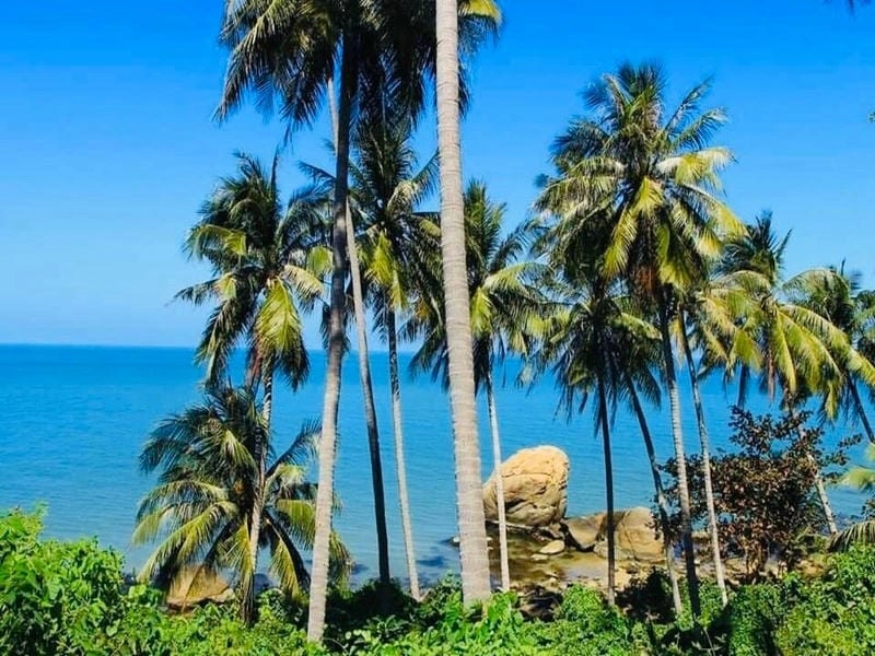 Cùng check in Hòn Dừa