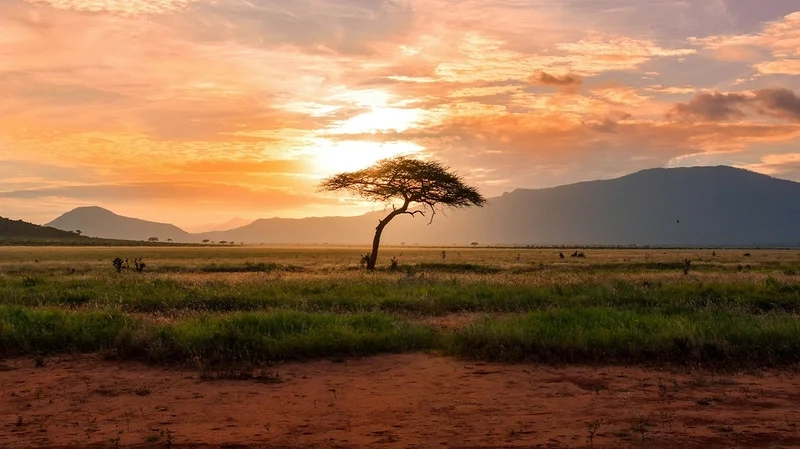 Khám phá hình ảnh châu phi đa dạng và sống động