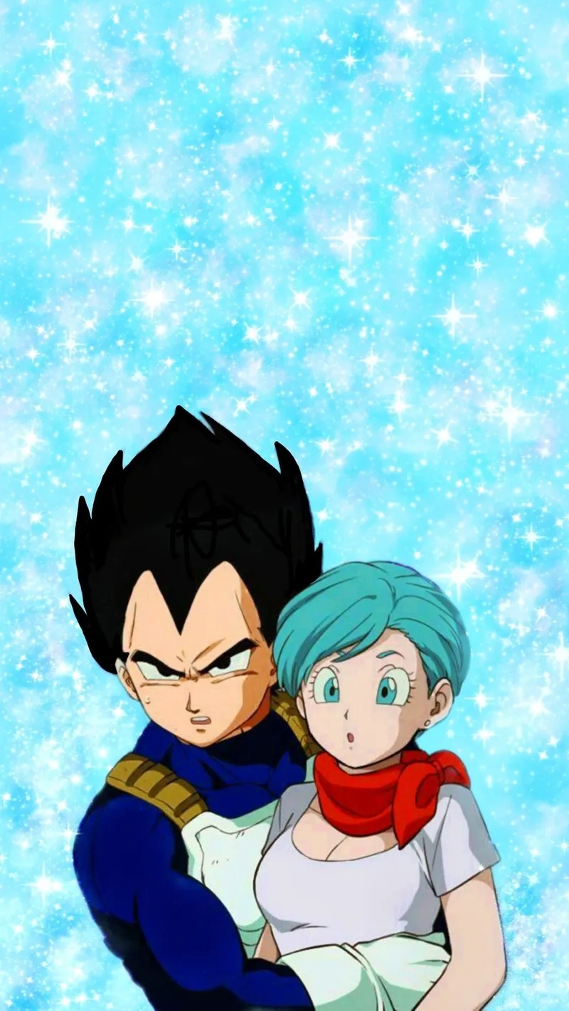 Thỏa sức sáng tạo với màn kết hợp vegeta x bulma