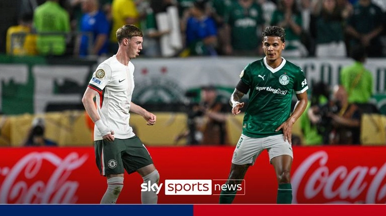 Phân tích Estêvão Willian