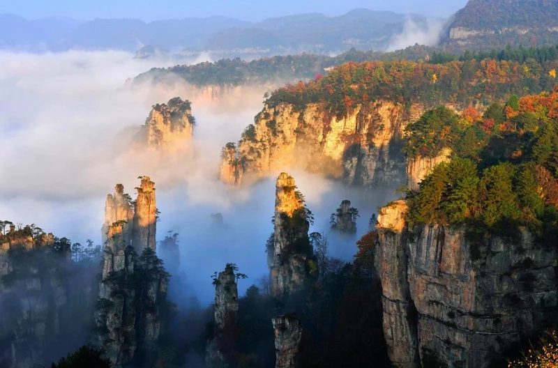 Ngắm lá vàng rực rỡ trương gia giới mùa thu