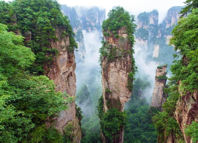 Tìm hiểu vị trí địa lý trương gia giới thuộc tỉnh nào