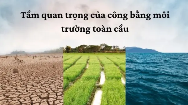 Chính sách quốc tế hướng tới công bằng môi trường