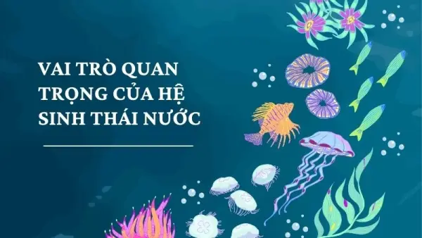 Vì sao bảo vệ hệ sinh thái nước là nhiệm vụ toàn cầu?