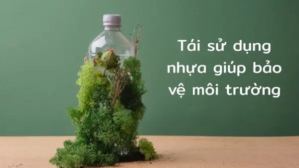 Lợi ích từ việc tái sử dụng nhựa hướng tới lối sống xanh