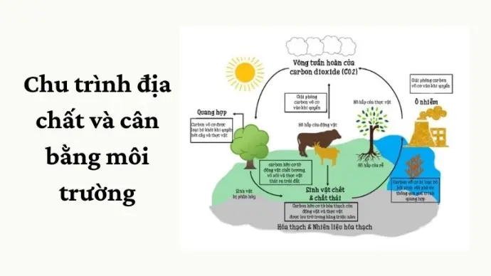 Vai trò chu trình địa chất trong bảo vệ hệ sinh thái