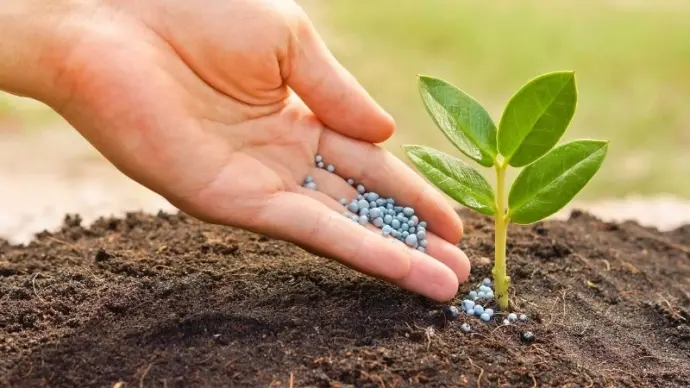 Khoa học nông nghiệp không carbon giảm khí thải