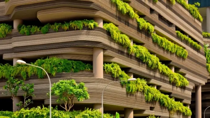 Loài cây nào trong rừng đô thị hấp thụ bụi mịn hiệu quả nhất