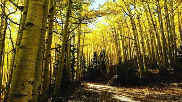 Khám phá vẻ đẹp kỳ vĩ và đa dạng của phong cảnh Bắc Mỹ