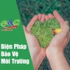 Biện pháp bảo vệ môi trường hiệu quả cho cuộc sống bền vững