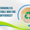 Biodegradable Là Gì? Phân Biệt Và Ứng Dụng Thực Tế