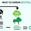 Carbon Neutral Là Gì? Hành Trình Hướng Tới Net Zero
