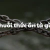 Chuỗi thức ăn là gì? Khám phá hành trình năng lượng trong hệ sinh thái