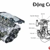 Động cơ Diesel: Khái niệm, cấu tạo và những điều cần biết