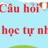 Khái niệm năng lượng tái tạo và vai trò quan trọng trong tương lai