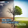 Năng Lượng Hóa Thạch: Nguồn Gốc, Tầm Quan Trọng và Tác Động Môi Trường