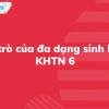 Vai trò của đa dạng sinh học: Nền tảng vững chắc cho sự sống trên Trái Đất