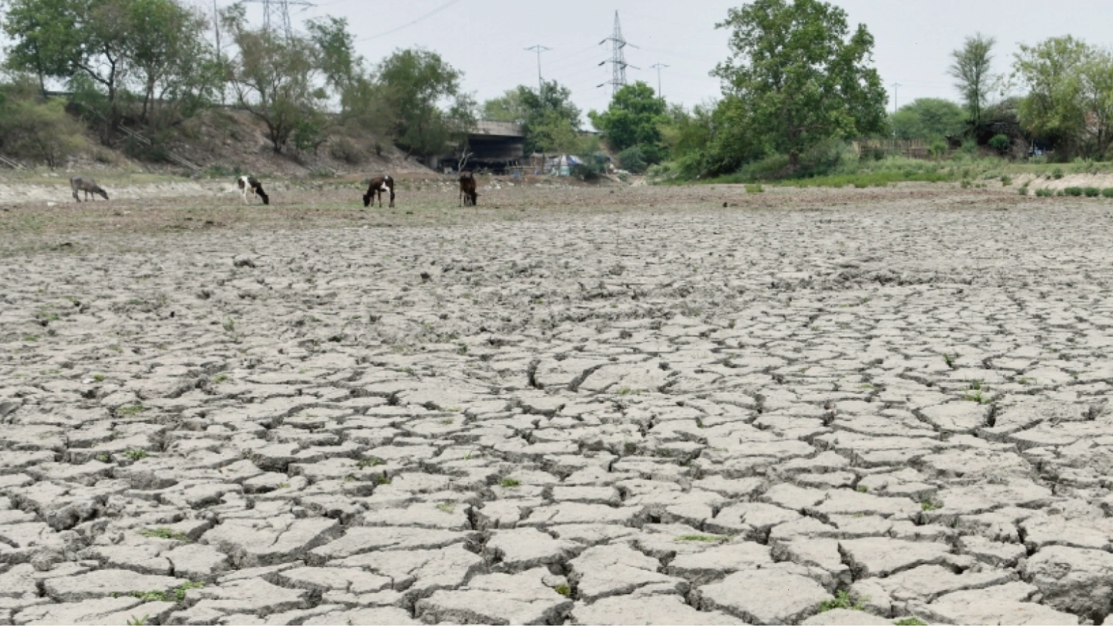Ấn Độ đối mặt mùa hè nóng hơn do El Nino