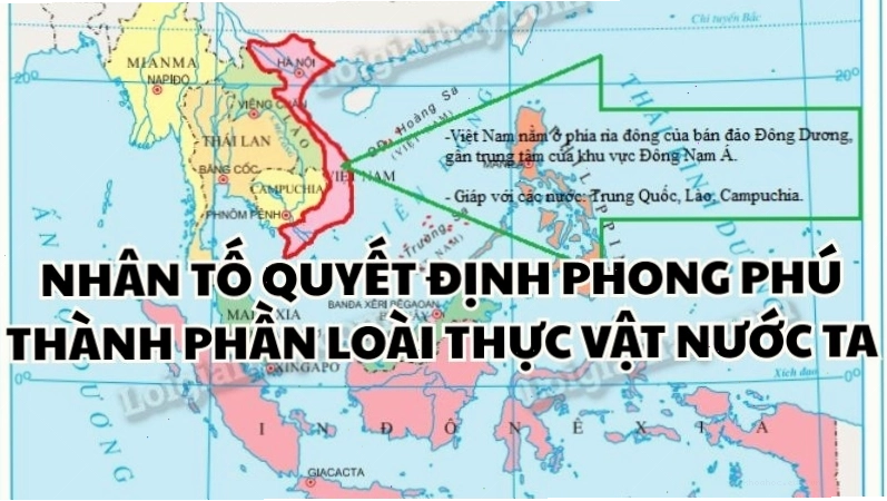 Bản đồ Việt Nam thể hiện các tuyến di cư và di lưu của các loài thực vật