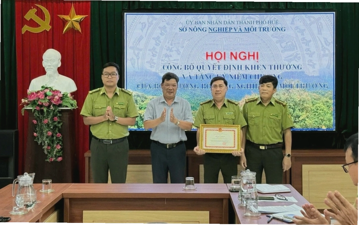 Bảo vệ rừng là giải pháp quan trọng trong ứng phó với băng tan