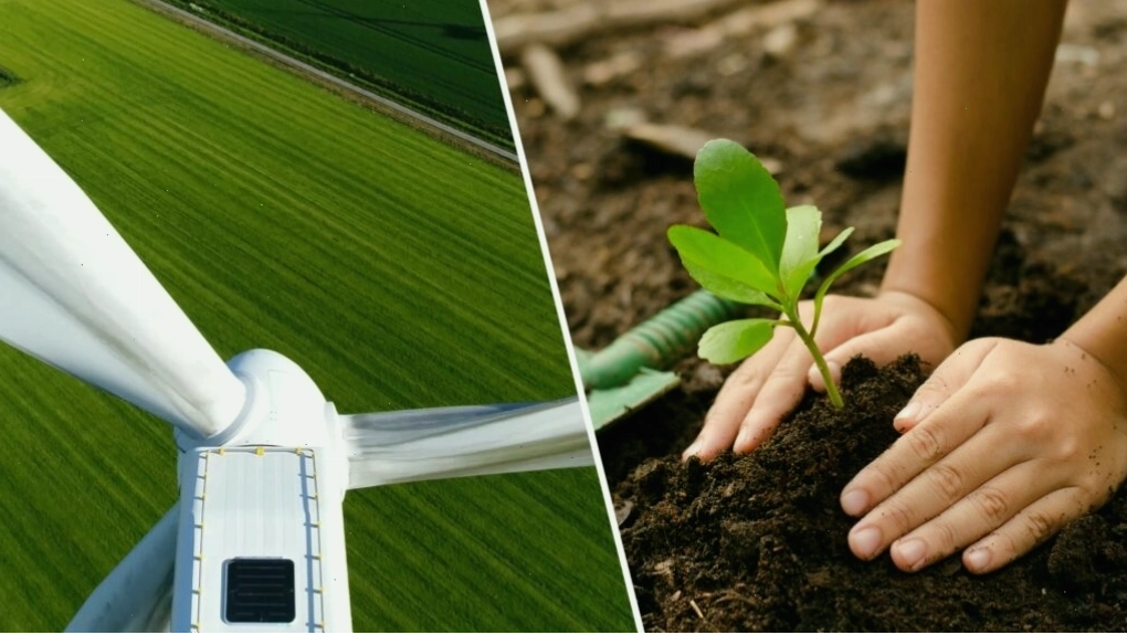 Bìa bài viết nói về sự khác biệt giữa Carbon Neutral và Net Zero