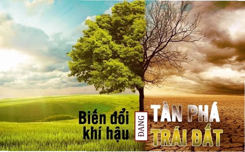 Biểu đồ thể hiện sự gia tăng nhiệt độ trung bình toàn cầu qua các năm do biến đổi khí hậu