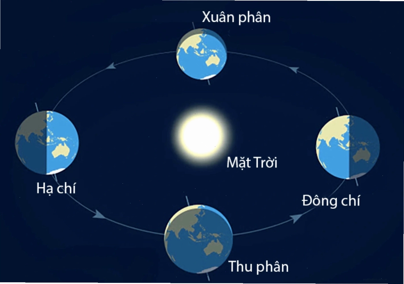 Biểu đồ thể hiện sự thay đổi vị trí mọc lặn của Mặt trời theo mùa
