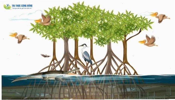 Biểu hiện của suy giảm đa dạng sinh học bao gồm sự tuyệt chủng của nhiều loài