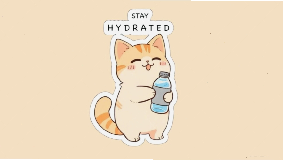 Bộ sưu tập các sticker mèo anime ngộ nghĩnh