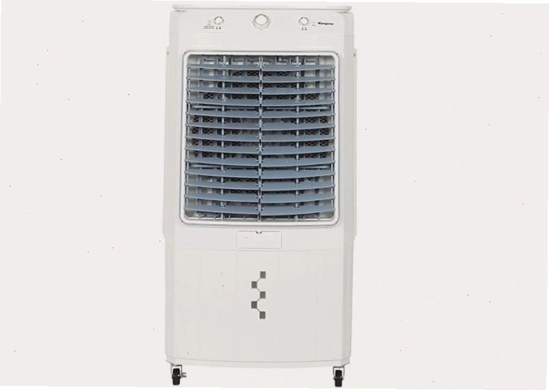 Các nhà khoa học làm việc tại một địa điểm khai quật hóa thạch