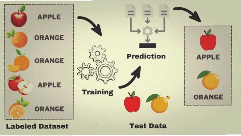 Các phương pháp học máy phổ biến trong machine learning