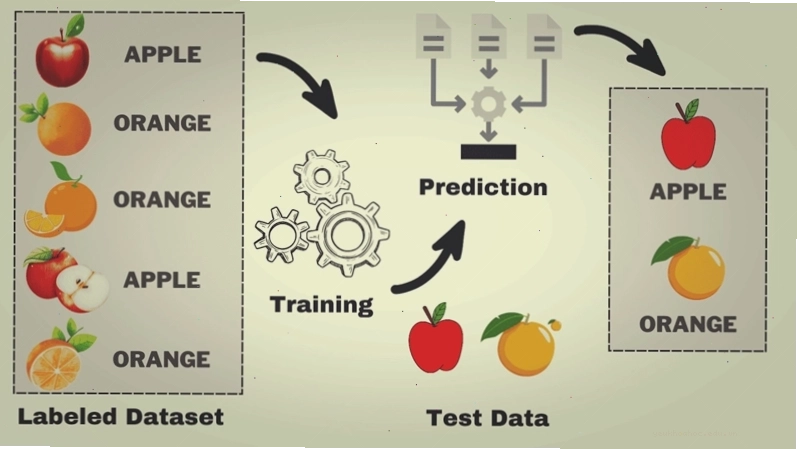 Các ứng dụng phổ biến của Machine Learning