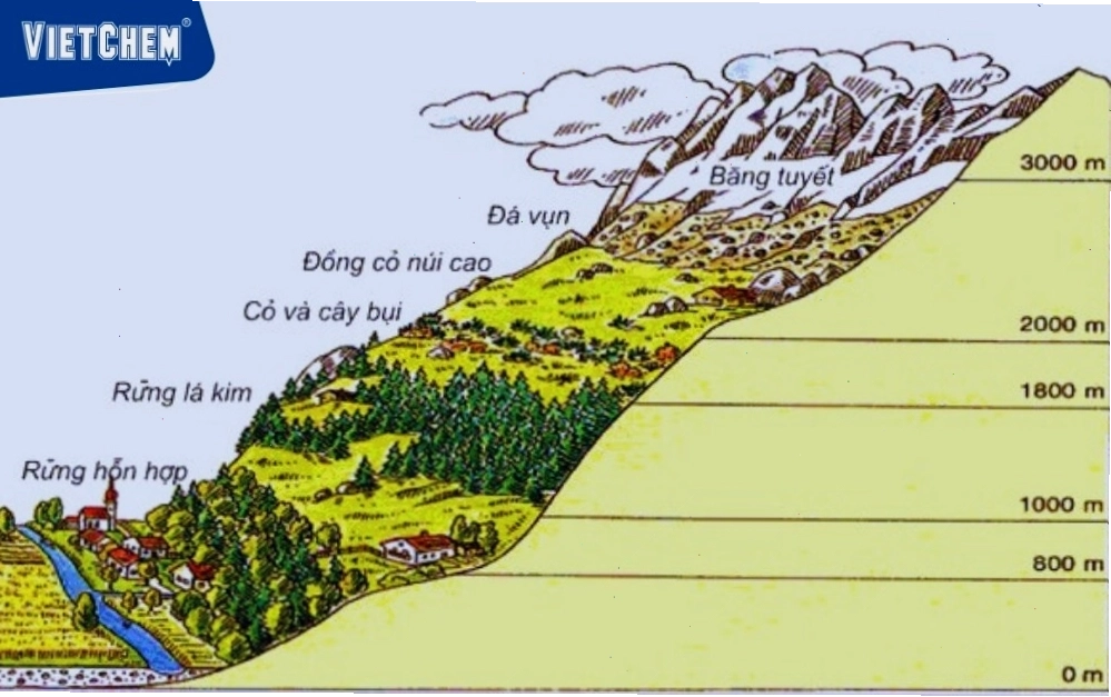 Các vành đai thực vật theo độ cao ở núi