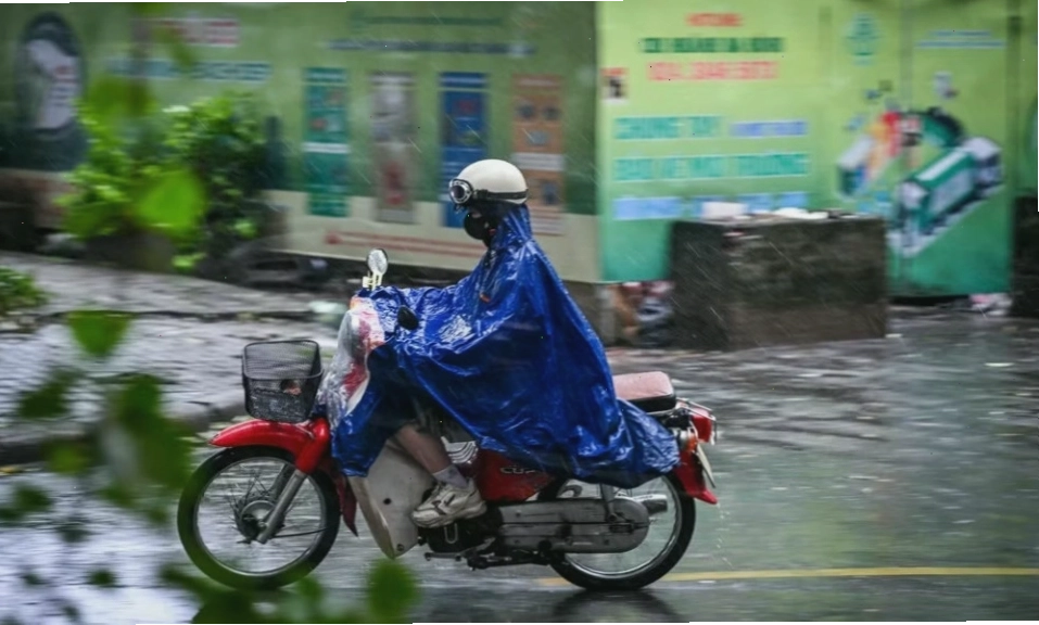 Cảnh quan mùa đông với tuyết rơi dày đặc