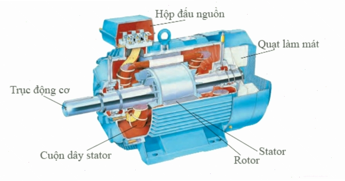 Cấu tạo chi tiết của mô tơ điện